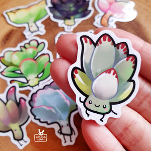 Sticker set | Succulent children