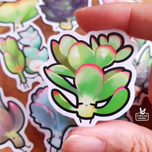 Sticker set | Succulent children